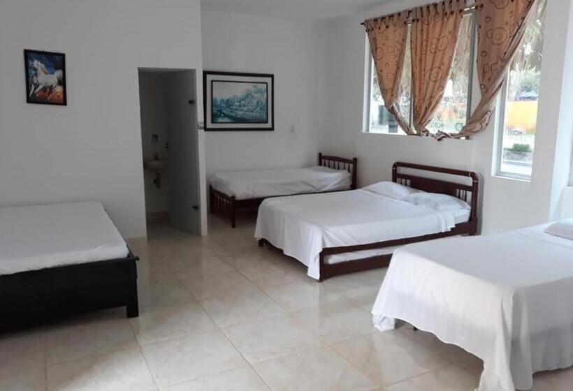 Семейный Номер, Palmari