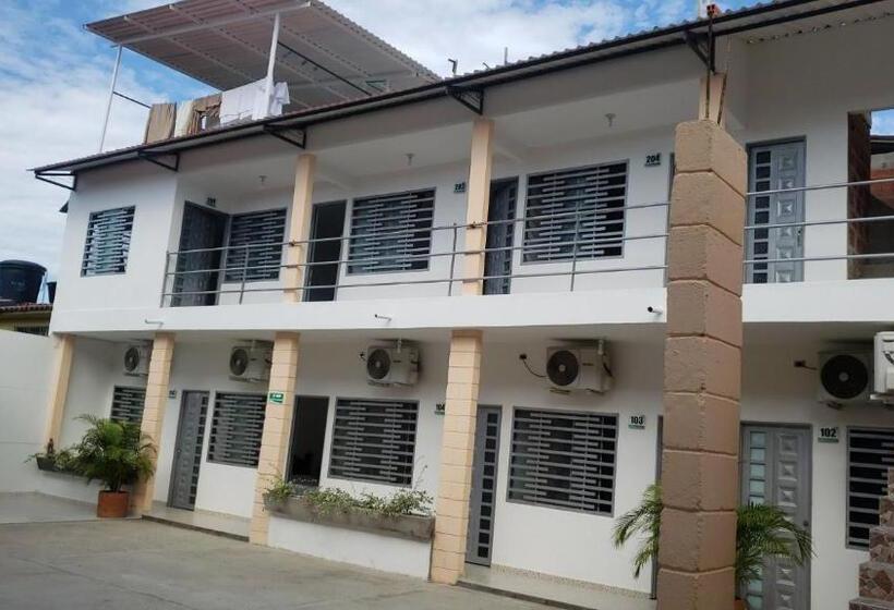 Номер Стандарт, Palmari