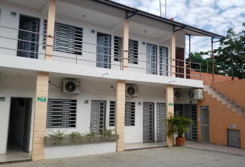 Номер Стандарт, Palmari