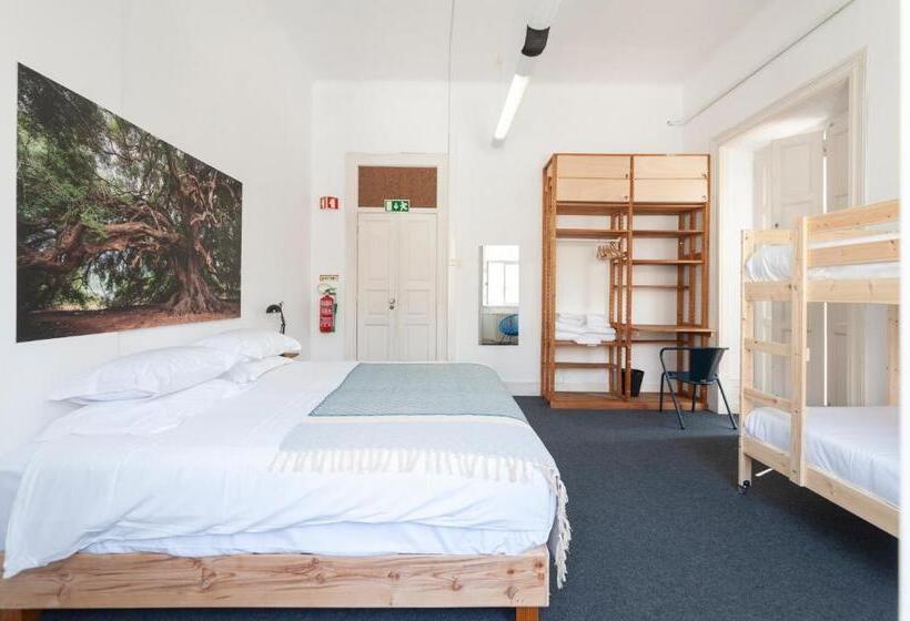 اتاق خانوادگی, Cheese & Wine Lapa