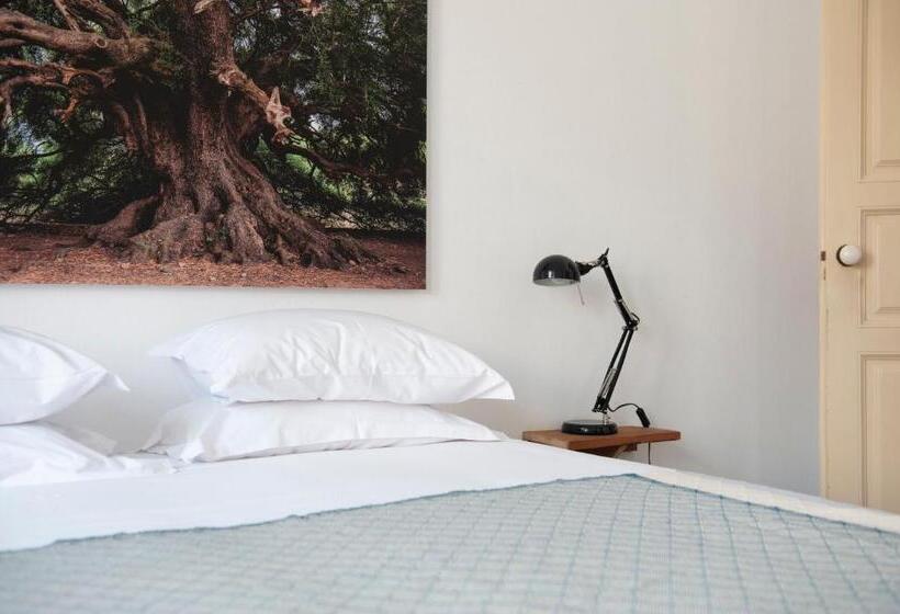 اتاق خانوادگی, Cheese & Wine Lapa