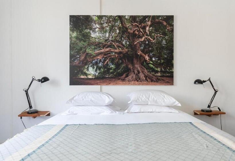 اتاق خانوادگی, Cheese & Wine Lapa