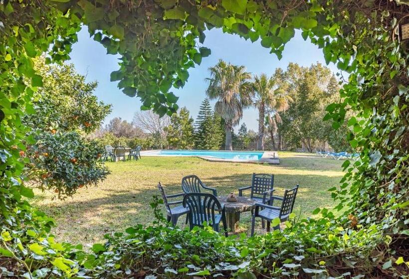 수피리어 룸, Son Vivot Doble Con Balcón