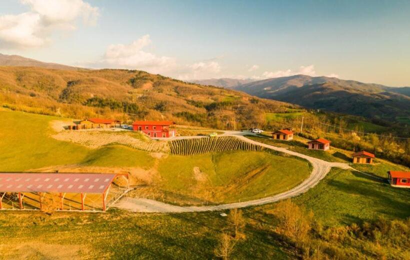 غرفة قياسية, Azienda Agricola Saint Hubert