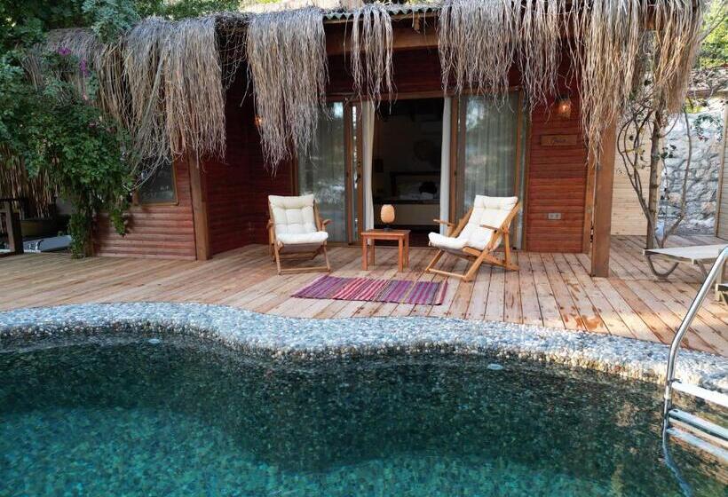 סוויטה עם בריכה, La Boheme Kabak