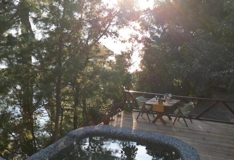 סוויטה עם בריכה, La Boheme Kabak