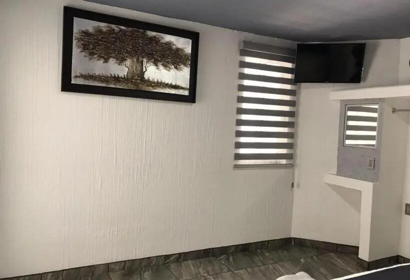 スーペリアールーム, Nuevo Bernal