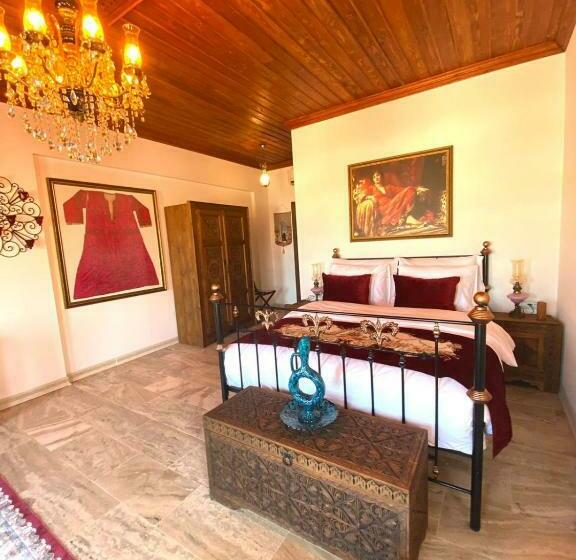 اتاق استاندارد با تخت بزرگ, Villa Ephesus