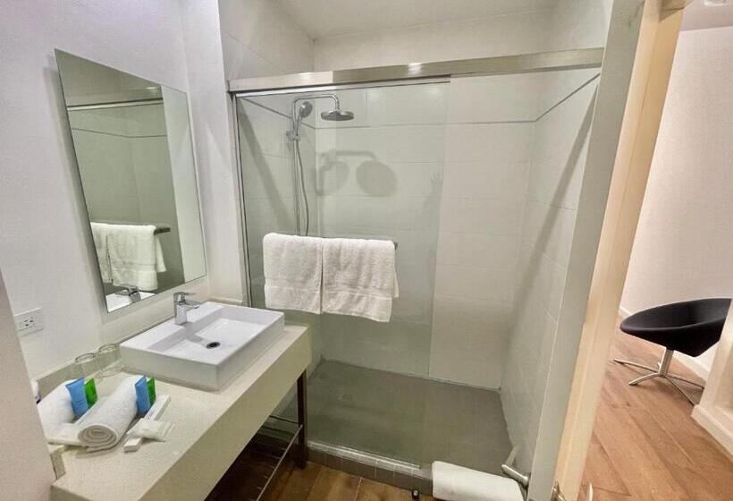 豪华房间, Mio Panama