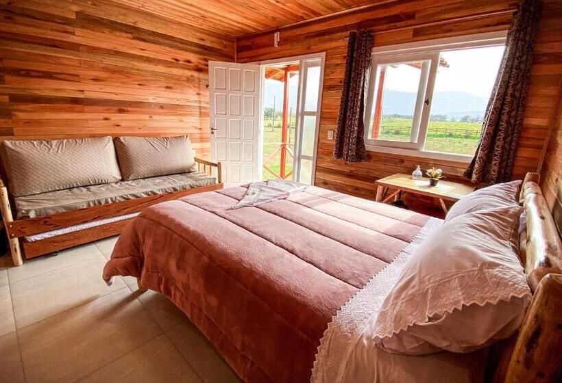 اتاق خانوادگی, Pousada Flor Do Campestre