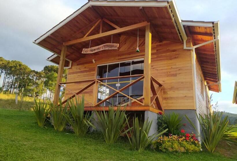 اتاق خانوادگی, Pousada Flor Do Campestre