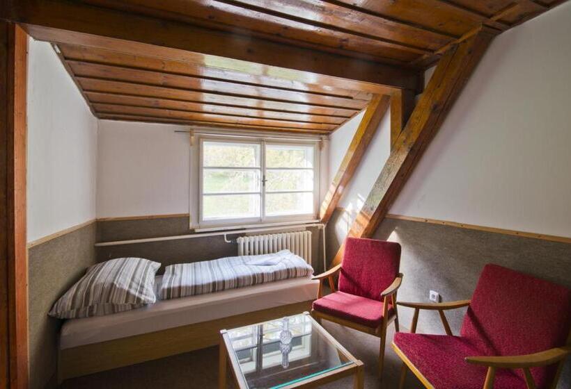 חדר סטנדרט חדר אמבטיה משותף, Aparthotel Panorama