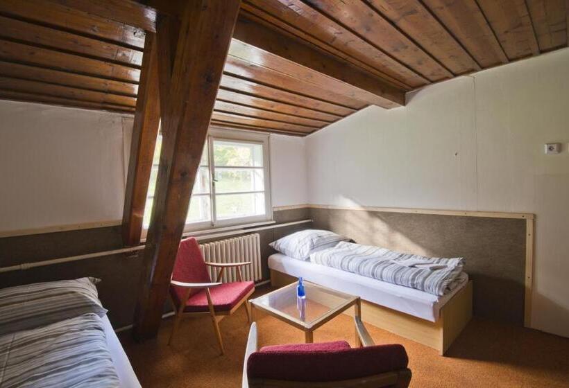 חדר סטנדרט חדר אמבטיה משותף, Aparthotel Panorama