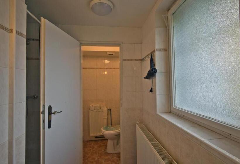 חדר סטנדרט חדר אמבטיה משותף, Aparthotel Panorama