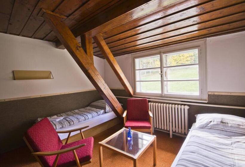 חדר סטנדרט חדר אמבטיה משותף, Aparthotel Panorama