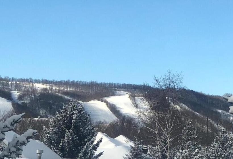 جناح ديلوكس سرير كينج, Blue Mountains Bed And Breakfast