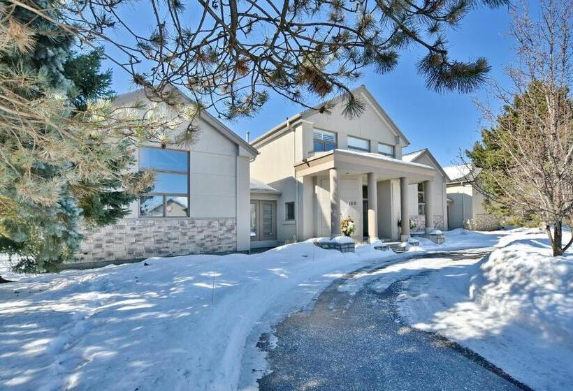 شقة غرفة واحدة, Blue Mountains Bed And Breakfast