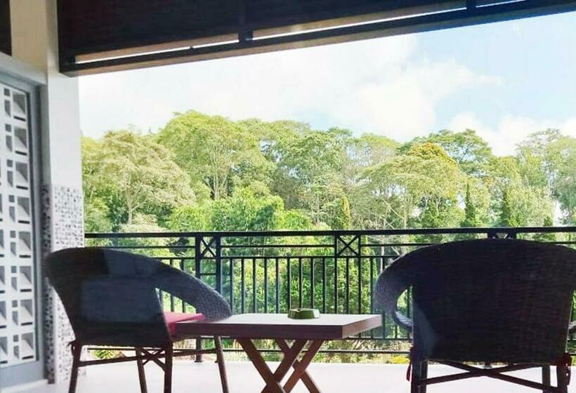 חדר דלוקס, Dedanau