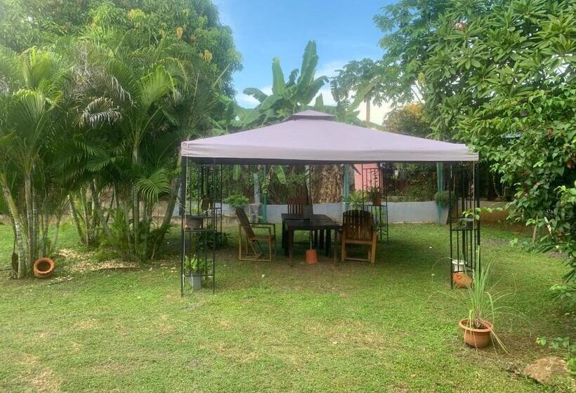 四人标准间, Julianna Country House