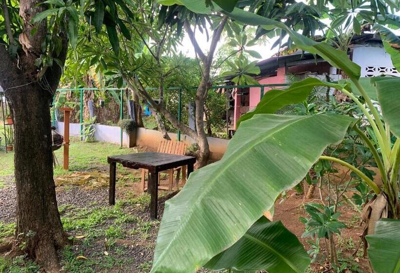 四人豪华间, Julianna Country House