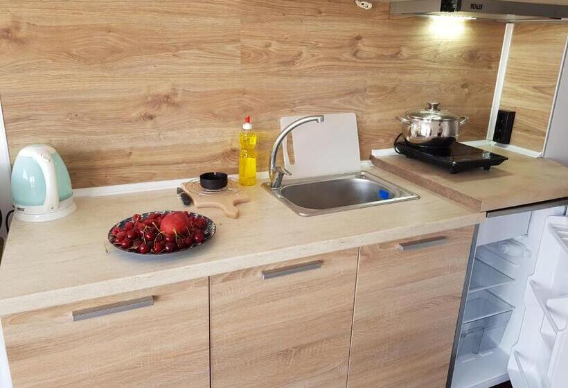 استودیو خانوادگی, Panorama Studios Obzor