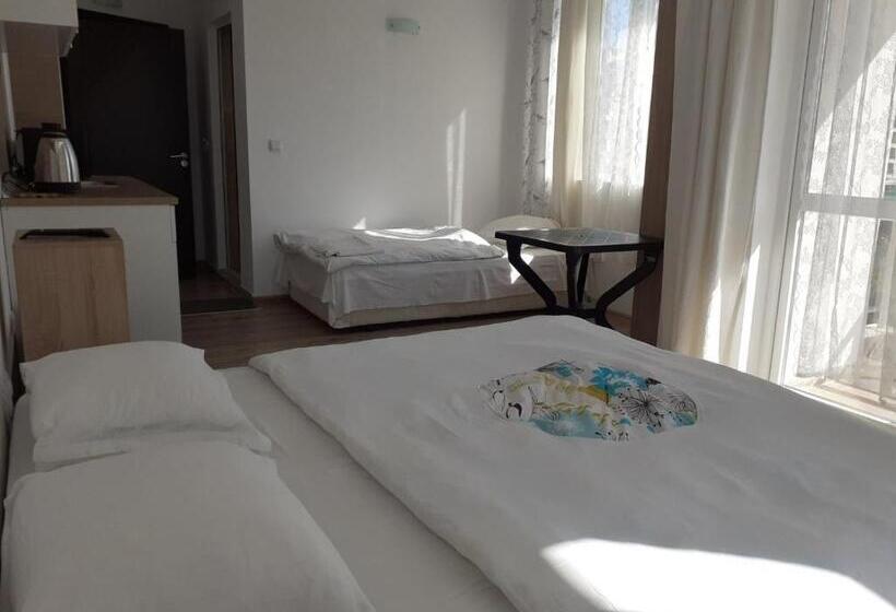 استودیو استاندارد با بالکن, Panorama Studios Obzor