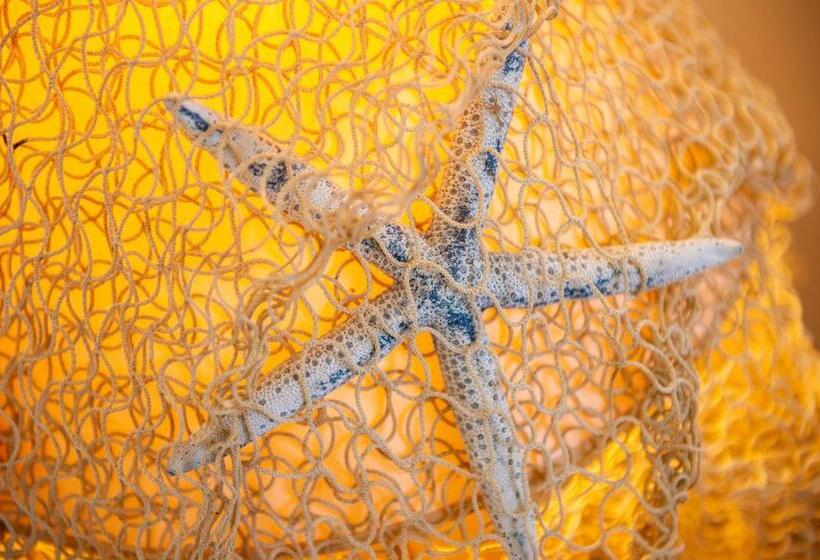 חדר סטנדרט יחיד, Tipino