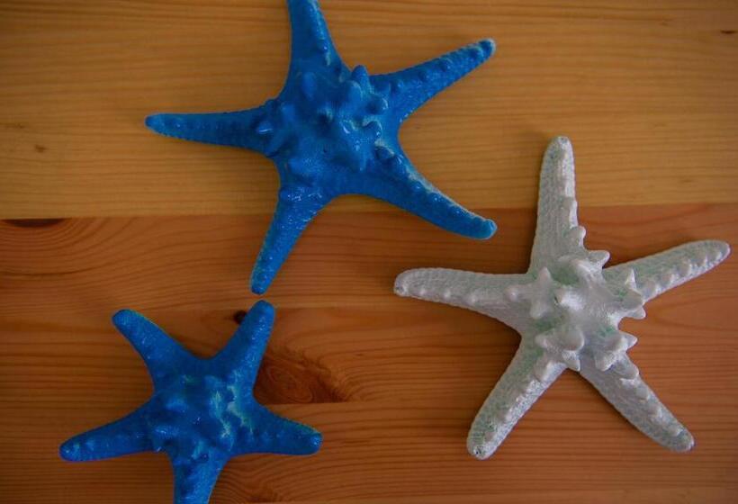 חדר סטנדרט מותאם לאדם עם מוגבלויות, Tipino