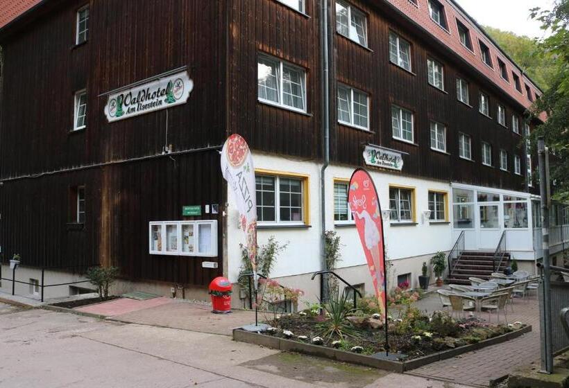 스탠다드 싱글 룸, Waldhotel Harz Ilsenburg