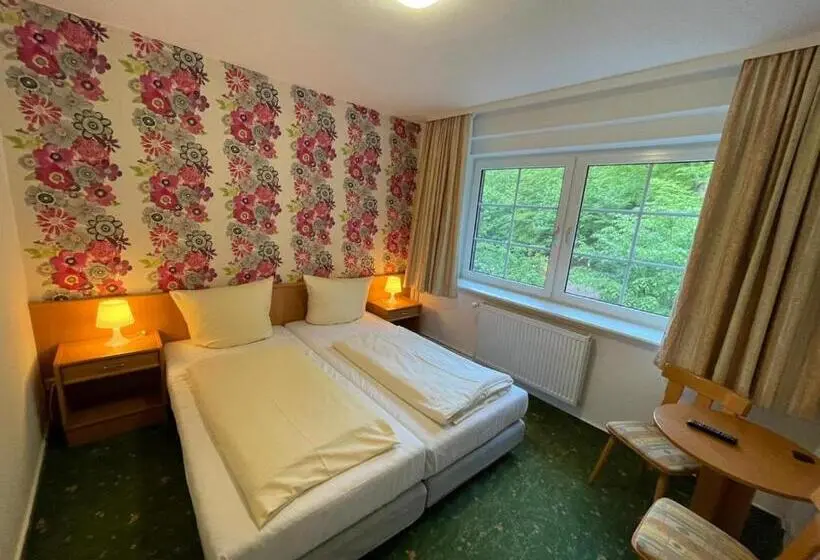 スタンダードルーム, Waldhotel Harz Ilsenburg