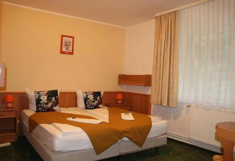 身障者適用スタンダードルーム, Waldhotel Harz Ilsenburg