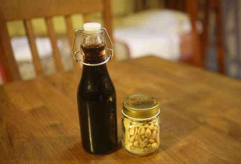 Family Suite, Cedar Park Rainforest Resort