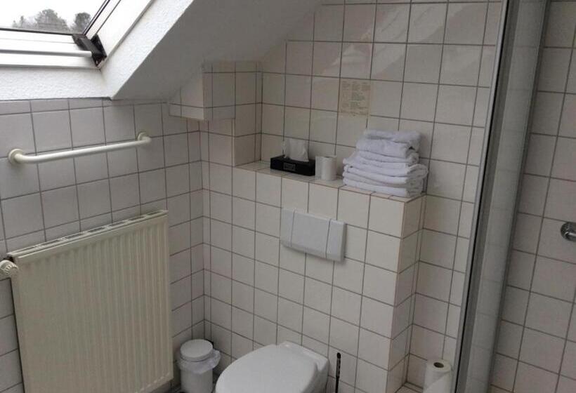 غرفة قياسية, Elsen