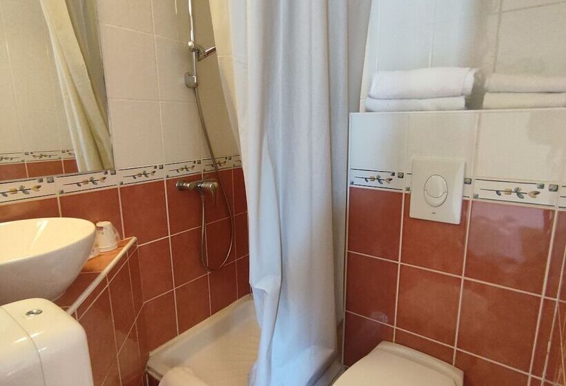 スタンダードシングルルーム, Hôtel Du Parc Limoges & Restaurant Le Temps D Une Pause