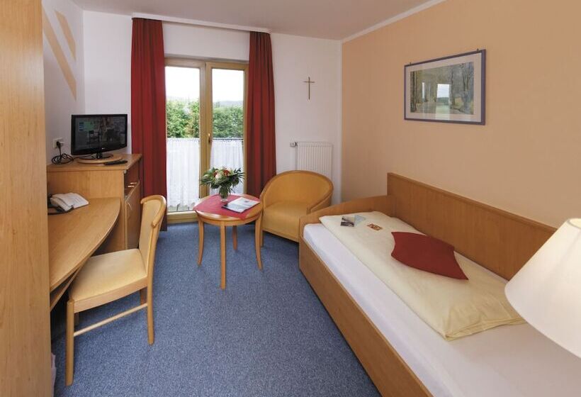 スタンダードシングルルーム, Panorama Hotel Am See