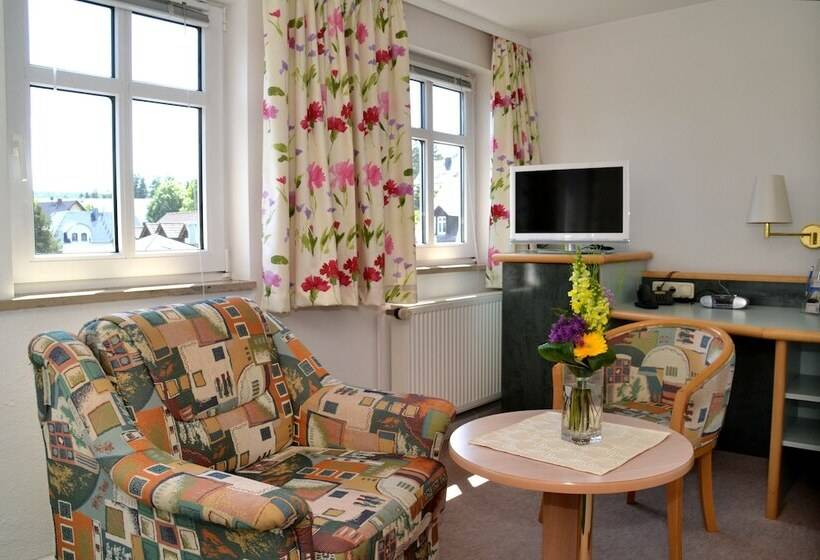 חדר סטנדרט יחיד, Parkhotel Helene