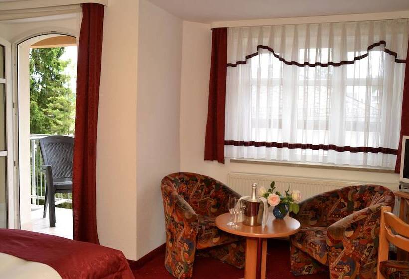 Номер Стандарт Индивидуальный, Parkhotel Helene