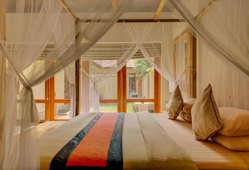 סוויטה, The Spice Trail