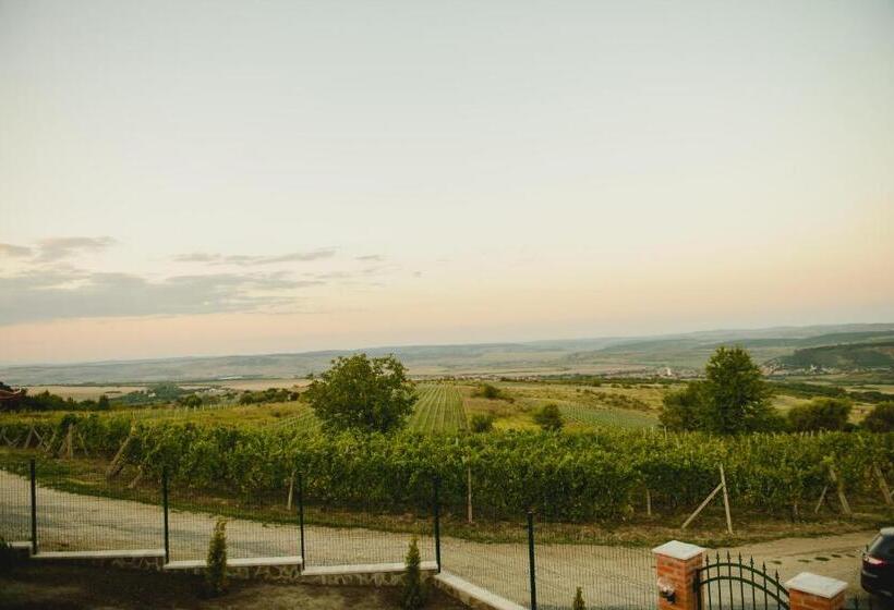 شاليه غرفة نوم واحدة, Cabana Dintre Vii