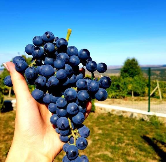 شاليه غرفة نوم واحدة, Cabana Dintre Vii