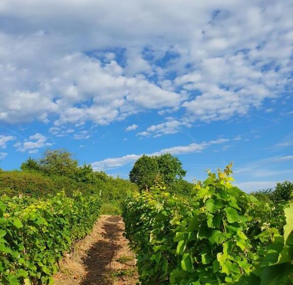 شاليه غرفة نوم واحدة, Cabana Dintre Vii