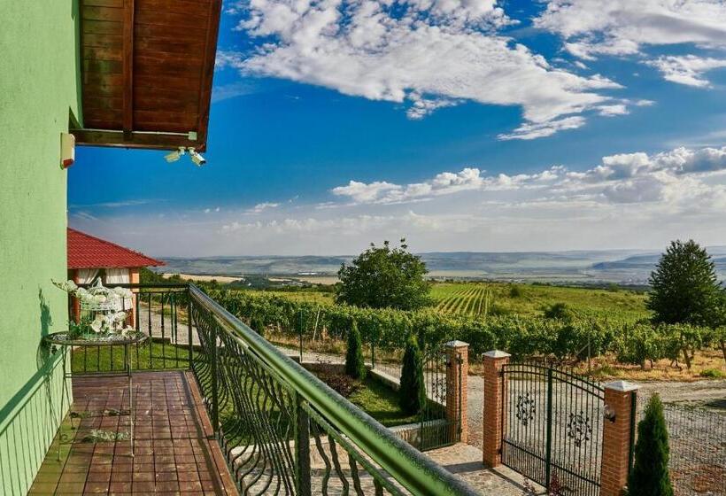 شاليه غرفة نوم واحدة, Cabana Dintre Vii