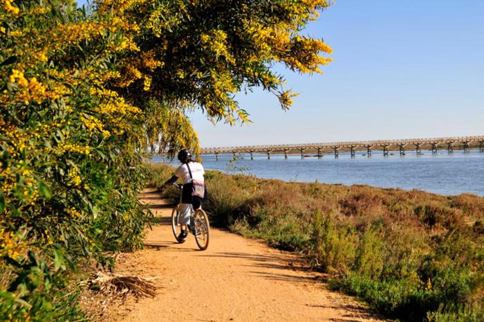 شقة غرفة واحدة, Casa Vale Do Lobo 114   Great Townhouse Few Minutes Walk From Beach Praca