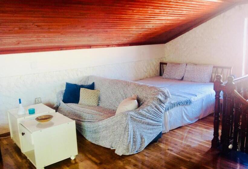 اتاق لوکس خانوادگی, Guest House Vila Eli