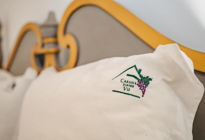 غرفة قياسية, Cabana Dintre Vii