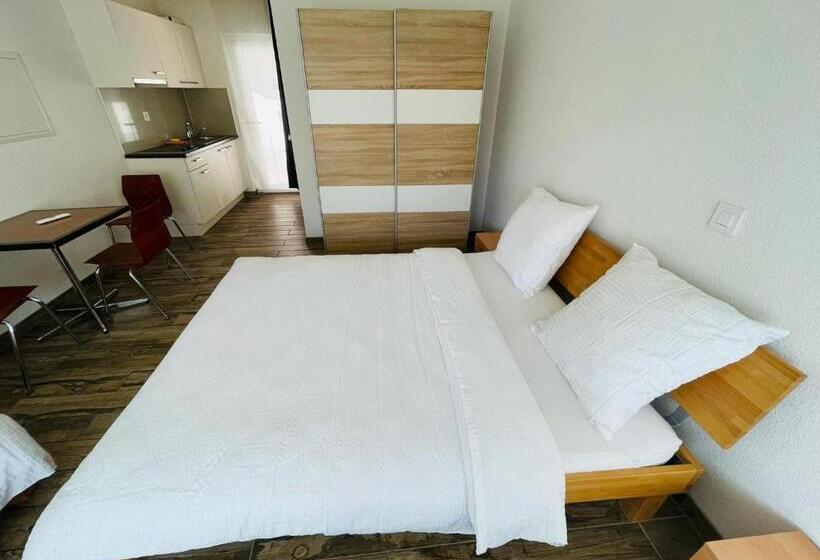 חדר סטודיו סטנדרד, Swiss Chalet Holidays Ringgenberg