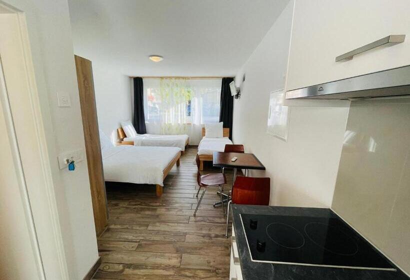 Студия Стандарт, Swiss Chalet Holidays Ringgenberg