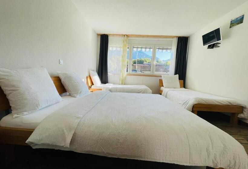 Студия Стандарт, Swiss Chalet Holidays Ringgenberg