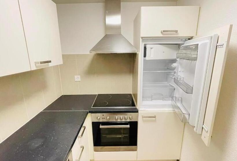 בקתת חדר, Swiss Chalet Holidays Ringgenberg