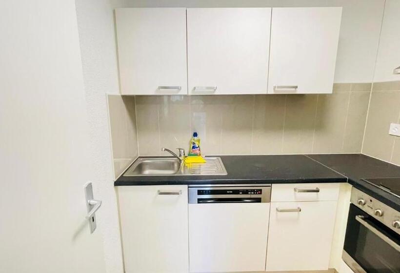 בקתת חדר, Swiss Chalet Holidays Ringgenberg